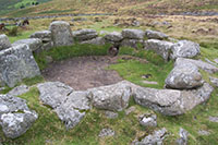 Ancient habitat, Dartmoor” hspace=