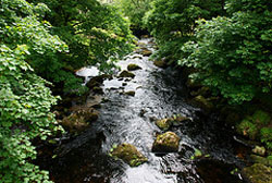 Sparkling stream in Dartmoor