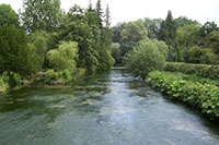 Magic – river scene in Hampshire” hspace=