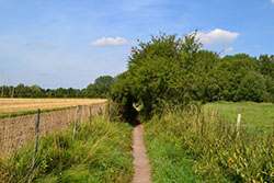 St Swithun's Way as it passess Winnall Moor Nature Reserve