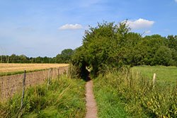 St Swithun's Way as it passess Winnall Moor Nature Reserve