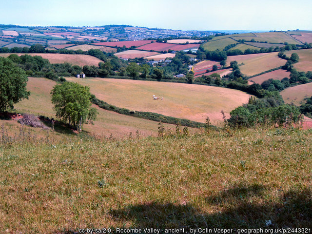 Field in centre is an ancient settlement