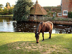 Hampshire Beaulieu