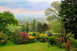 Devon Bishops Tawton