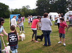 Dog Show Longparish