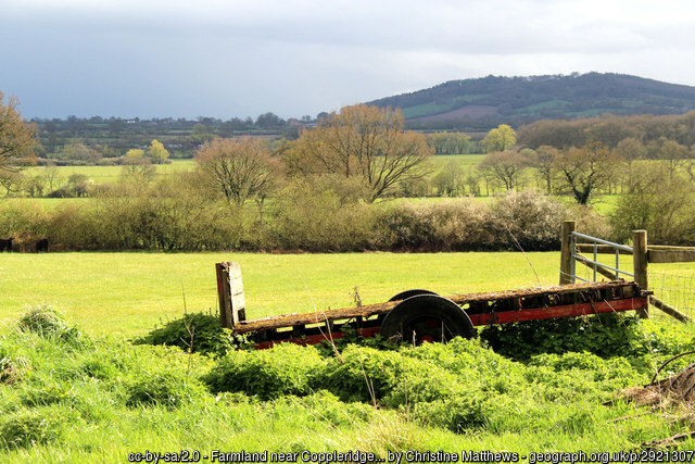 Farmland near Coppleridge Inn, Motcombe, Dorset