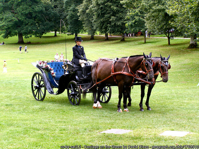 Horse and Carrage Cockington 