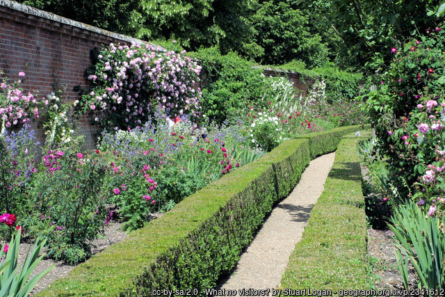 Mottisfont Rose Garden