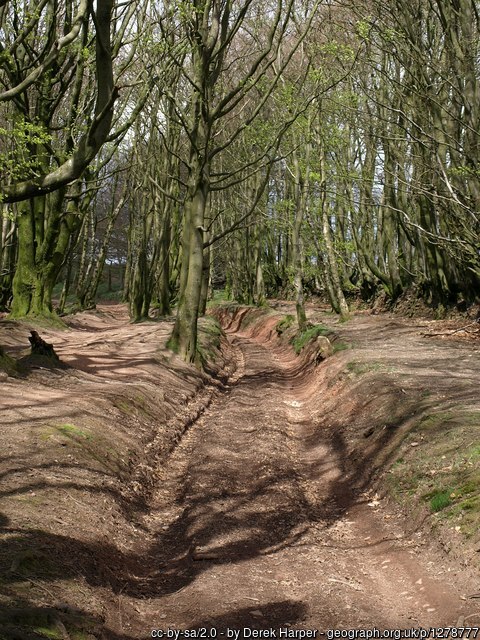 Quantpck bridleway