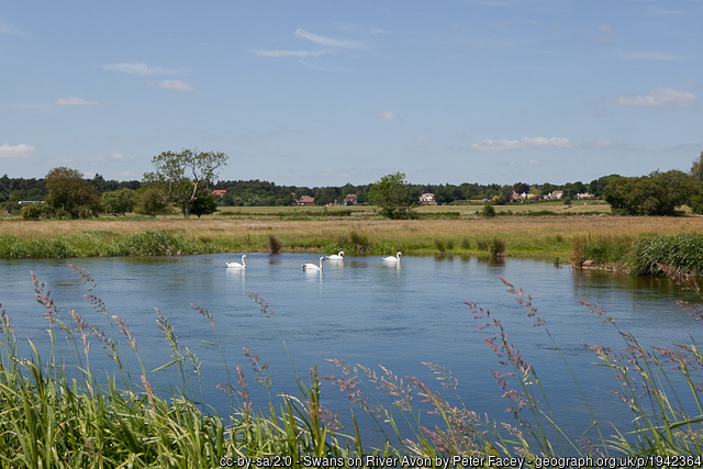 View of the River Avon from the Avon Valley Path 