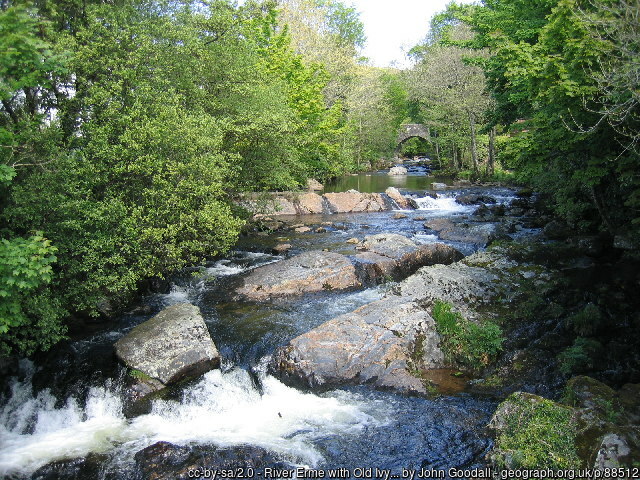 The River Erme, Ivybridge