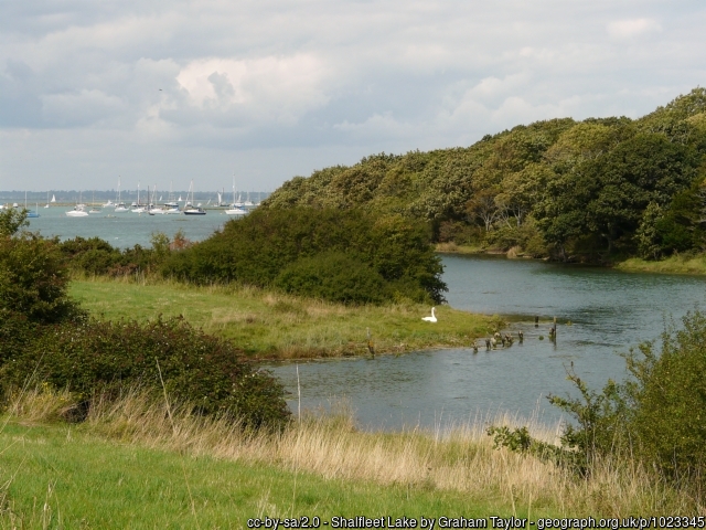 Shalfleet Lake