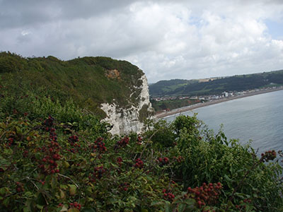 Southwest Coast Path Beer for Caravan page