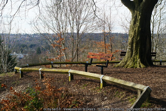 A seat on St Giles Hill, Winchester on a winter's day