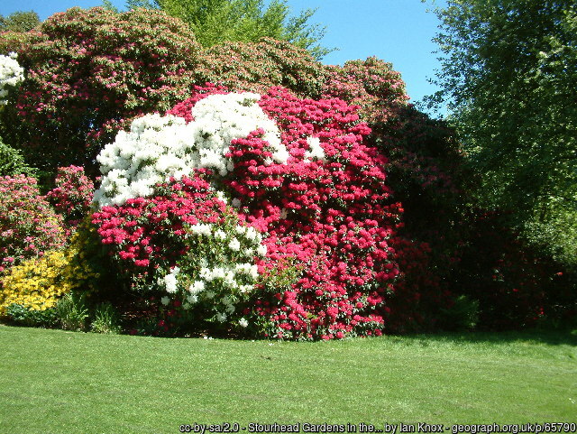 Stourhead Gardens in the Spring