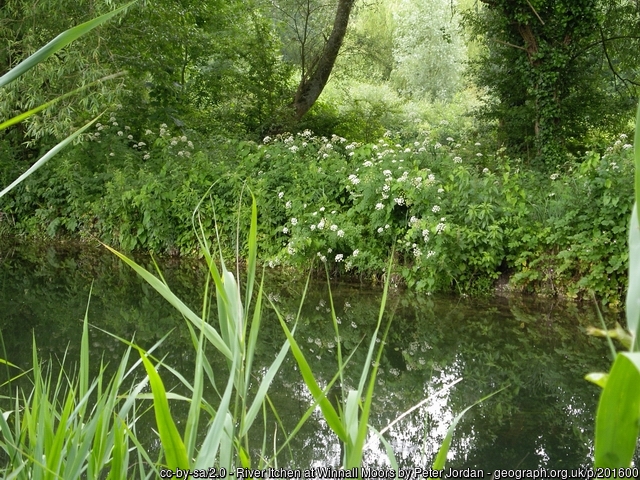 Winnall Moors Nature Reserve. 