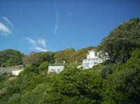 Wessex Above the beach amid the trees