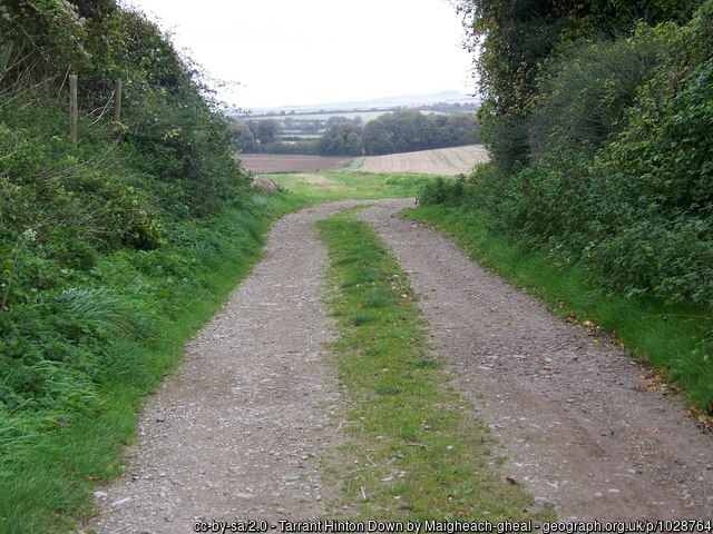 Bridleway on Tarrant Hinton Down 