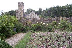 Devon Buckland Abbey
