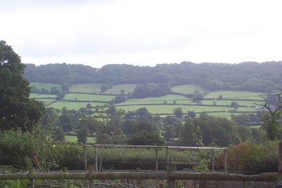 Countryside near Honiton 2