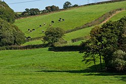 Southampton International Airport Devon countryside