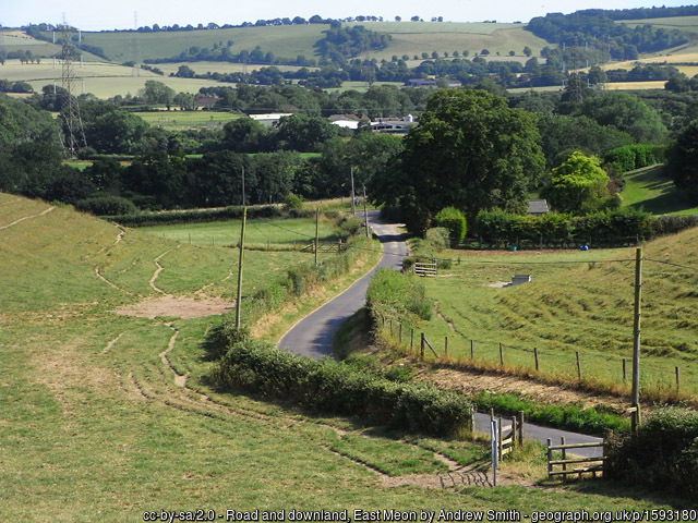 Downland East Meon