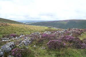 Grimspound Dartmoor