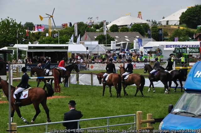 Horses at the Devon County Show