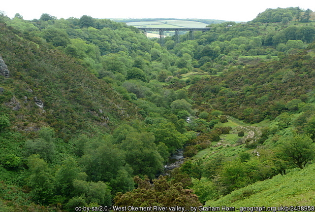 Meldon Viaduct in the distance