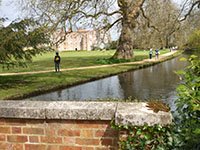 Hampshire Mottisfont