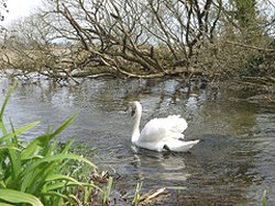 Cycling in Hampshire Old Alresford