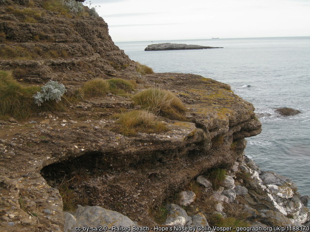 Raised beach - Hope's Nose