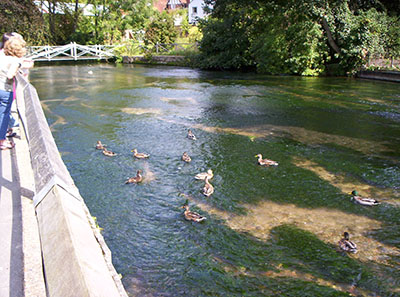 River Itchen Winchester