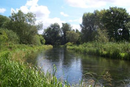 Cycling in Hampshire River Test 3a