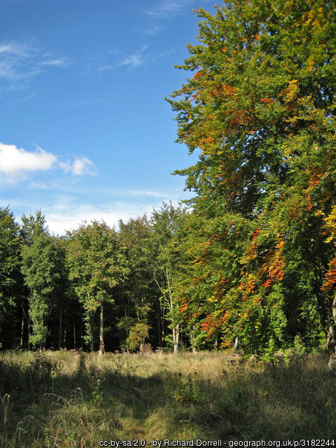 Site of Roman Villa