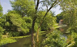 Dorset Sturminster Newton Mill