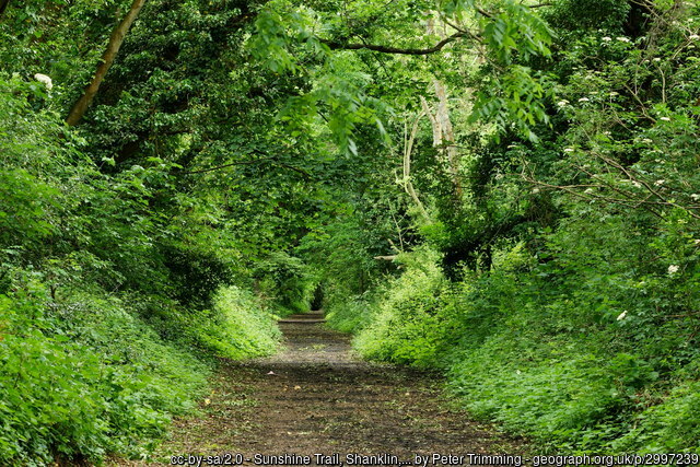 Sunshine Trail, Isle of Wight