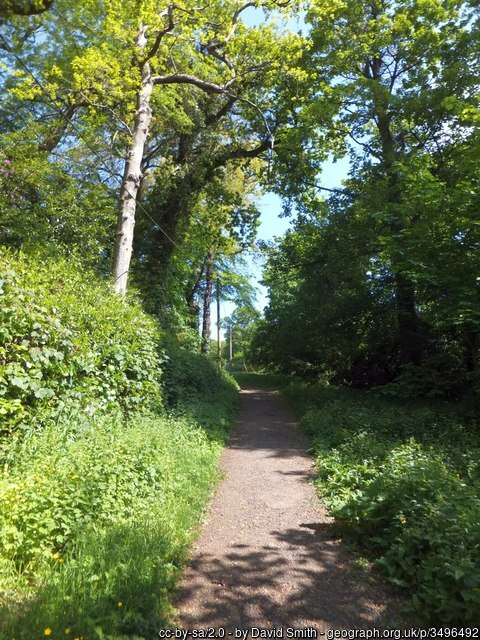 Tarka Trail near Okehampton