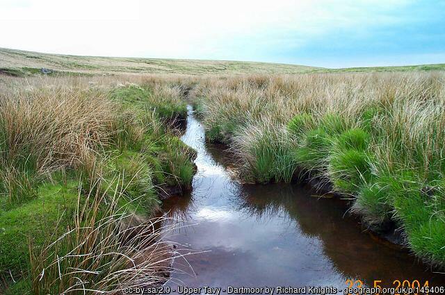 Upper River Tavy