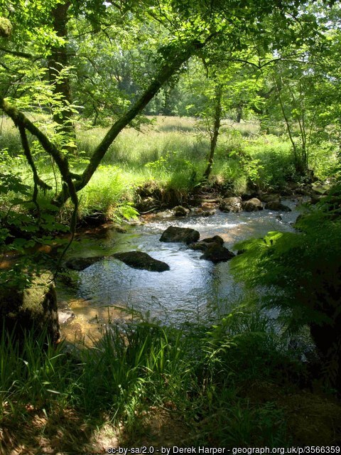 West Webburn River on Two Moors Way 