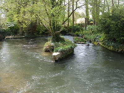 chuckling stream Hampshire